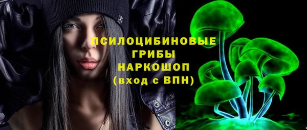 шишки Беломорск