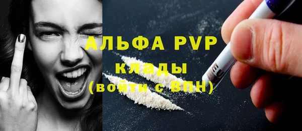 шишки Беломорск