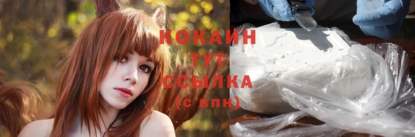 шишки Беломорск