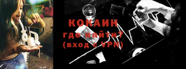 индика Белоозёрский