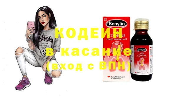 шишки Беломорск
