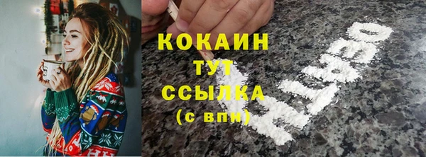 индика Белоозёрский