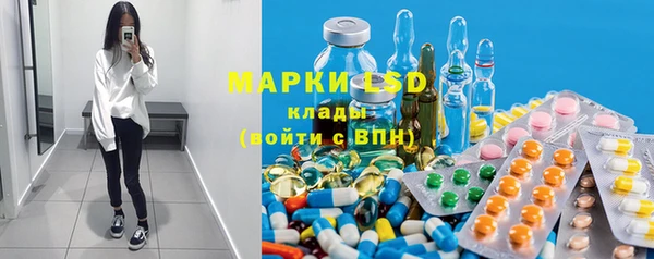 индика Белоозёрский