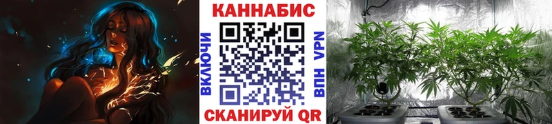 Купить закладки  Барабинск  Бошки Шишки сатива 